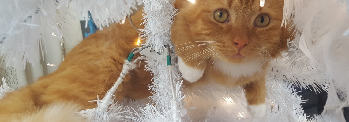 Heb je al een idee voor Kerst?
